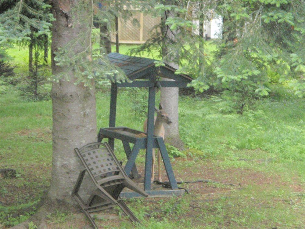 La Tremblante Bed & Breakfast Mont-Tremblant Ngoại thất bức ảnh
